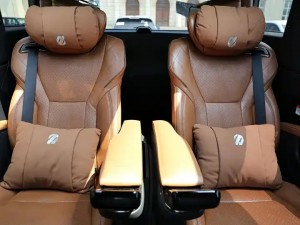 Toyota Alphard (Elfa)