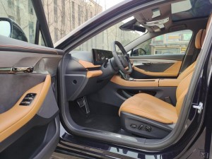 Voyah Passion PHEV