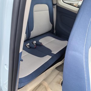 Dongfeng Scenery MINIEV