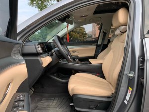 BYD Song Pro DM
