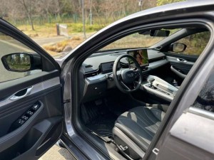 Geely Preface (Xing Rui)