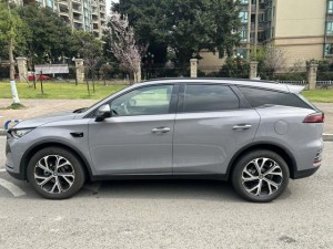 BYD Tang DM