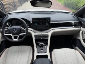 BYD Song PLUS EV