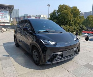 BYD Seagull