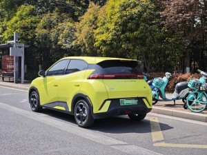 BYD Seagull