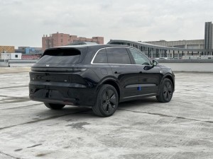 Li L6 (Ideal L6)