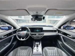 Hongqi HS5