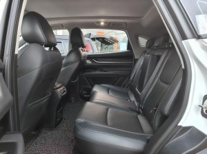 Chery Big Ant eQ5