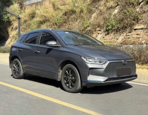 BYD e2