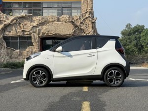 Chery Little ant