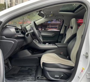 BYD Destroyer 05