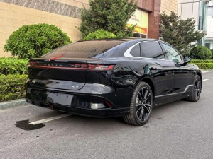 Voyah Passion PHEV