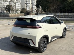 BYD Seagull