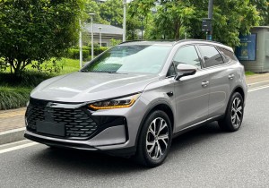 BYD Tang DM