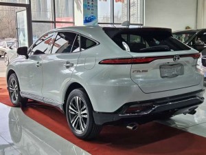 Toyota Venza (Wei Sa)