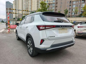 Wuling Asta (Star)