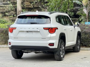 Haval H-Dog (Big Dog PLUS)