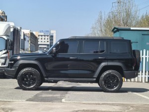 Tank 300