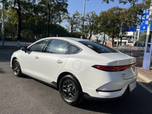 BYD Qin PLUS DM