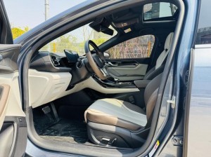 BYD Qin PLUS DM