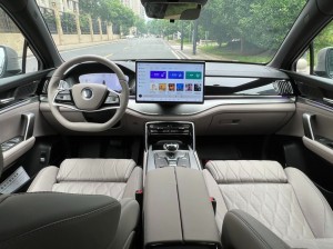 BYD Tang DM