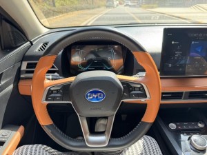 BYD e2