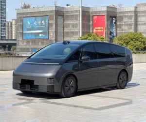 Li MEGA (Ideal MEGA)