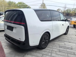 Li MEGA (Ideal MEGA)