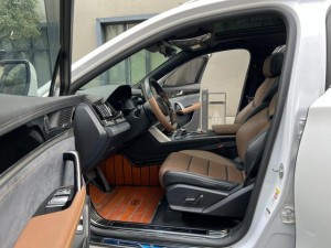 BYD Tang DM