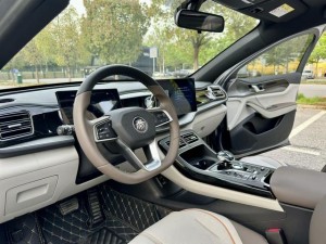 BYD Qin PLUS DM