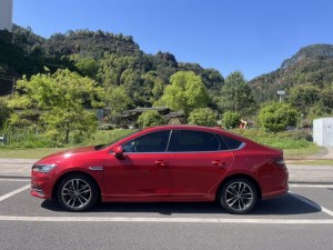 BYD Qin Pro