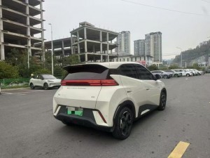 BYD Seagull