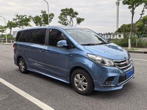 Maxus G10