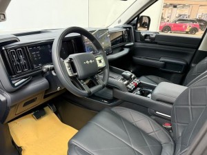 BYD Leopard Leopard 5