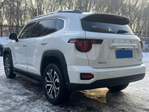 Haval H-Dog (Big Dog PLUS)