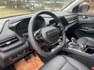 Wuling Capgemini Victory