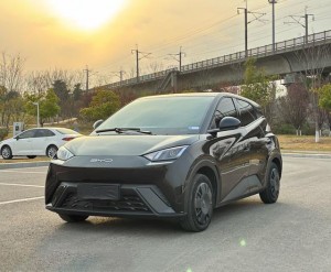 BYD Seagull
