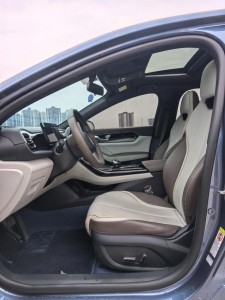 BYD Qin PLUS DM