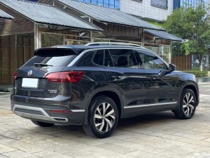 Volkswagen Tanyue