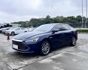 BYD Qin PLUS DM