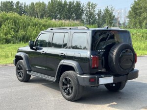 Tank 300