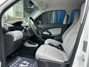 Leapmotor Zero running T03