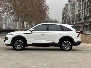 Haval Shenshou (Beast)