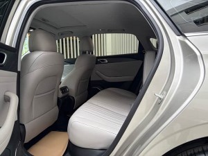 Geely Galaxy Star 6
