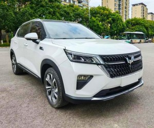 Wuling Asta (Star)