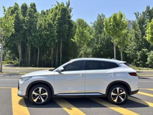 BYD Song PLUS DM