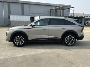 Haval Shenshou (Beast)