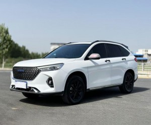 Haval M6 Plus