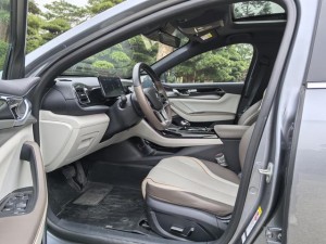 BYD Qin PLUS DM