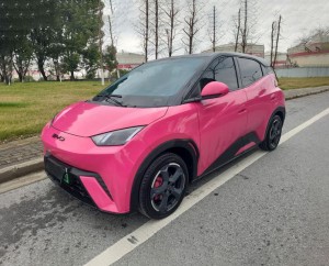 BYD Seagull